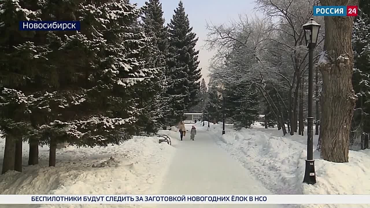 Морозы пришли. В Новосибирскую область пришла волна холода, которую принёс циклон с Баренцева моря