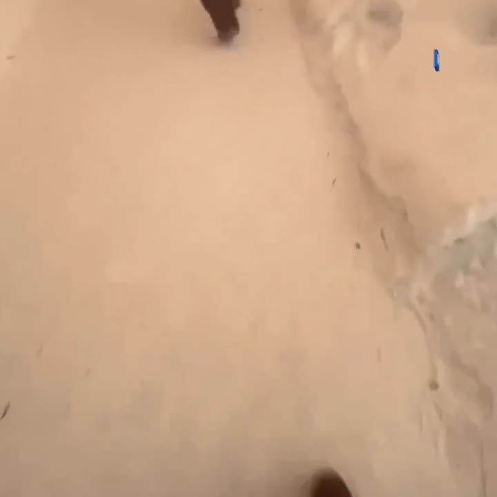 670 ������� ������������ �� ��������������� �������� � ������������