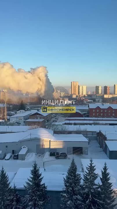 "��, ��� �������. �� ����� ����"