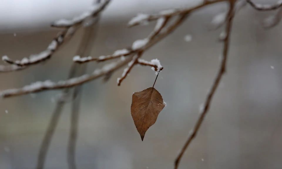 Потепление придёт на смену морозу в Новосибирске