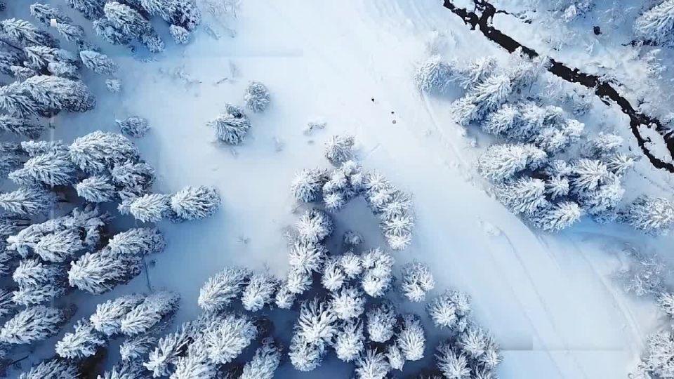 Вести Новосибирск