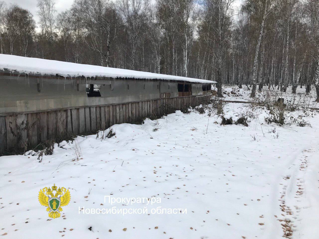 Скупой платит дважды. Самовольное занятие лестных участков повлекло штраф и решение суда о их сносе Прокуратурой Сузунского района проведена проверка исполнения закрытым акционерным обществом природоохранного законодательства