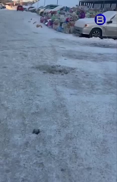 Снова мусорный коллапс. . Настоящие горы мусора выросли ЖК «Чкалов» на улице Светлановской в Новосибирске