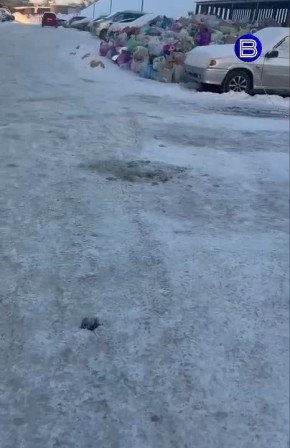 Снова мусорный коллапс. . Настоящие горы мусора выросли ЖК «Чкалов» на улице Светлановской в Новосибирске