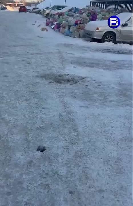 Снова мусорный коллапс. . Настоящие горы мусора выросли ЖК «Чкалов» на улице Светлановской в Новосибирске