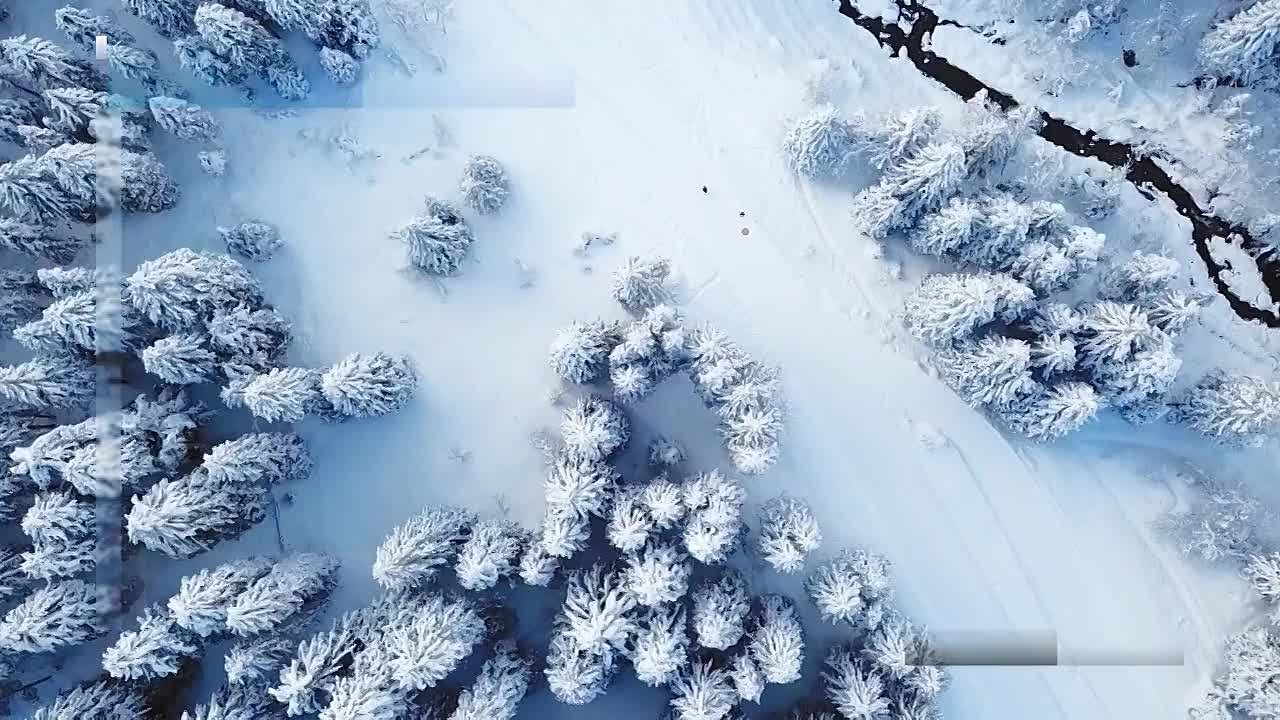 Вести Новосибирск