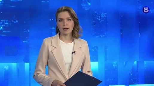 Новосёл против стены. Кот из приюта устроил в квартире новосибирской хозяйки настоящий ремонт, но не по своей воле