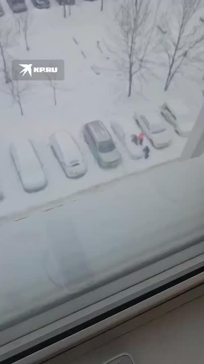 ������� ���������� ����������� ���������� � ����� �� ����� ���� �� ������� �������� � ������������