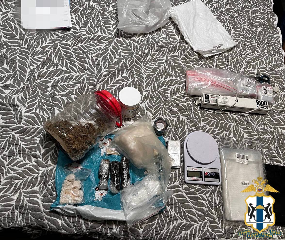 В Новосибирске сотрудниками полиции пресечена деятельность курьера подпольного наркомаркета В Новосибирске сотрудниками полиции пресечена деятельность курьера подпольного наркомаркета