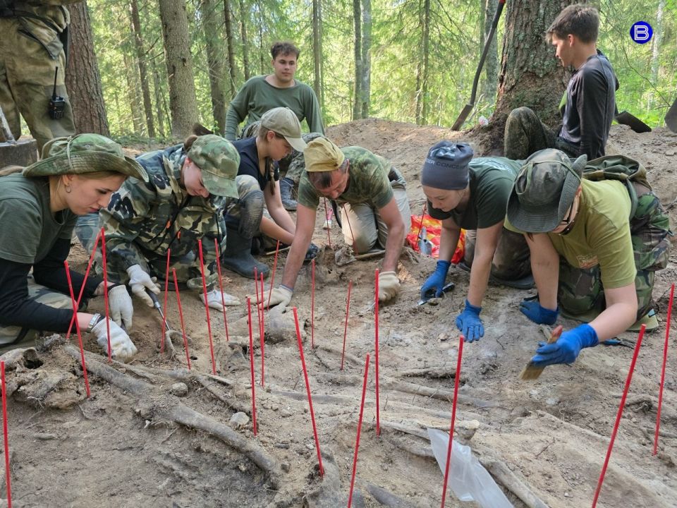 ���� ������ �����. ����������� ���������� ����� ������� ����� ������� ������������� ����� � ������ �������������� �������, 1915 ���� ��������