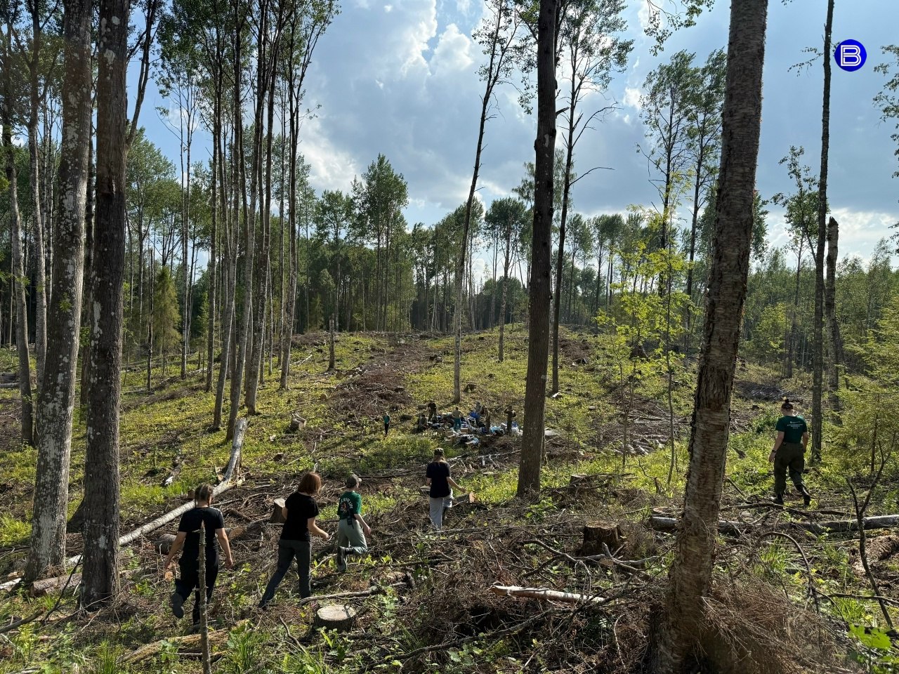 Ищем родных героя. Вологодские поисковики нашли останки бойца Великой Отечественной войны — Иосифа Александровича Игонина, 1915 года рождения Ищем родных героя. Вологодские поисковики нашли останки бойца Великой Отечественной войны — Иосифа Александровича Игонина, 1915 года рождения