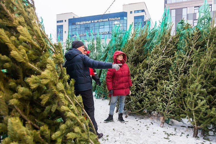 ��������� �� ������ ���������� ���� ��������� ��������������� � ������������