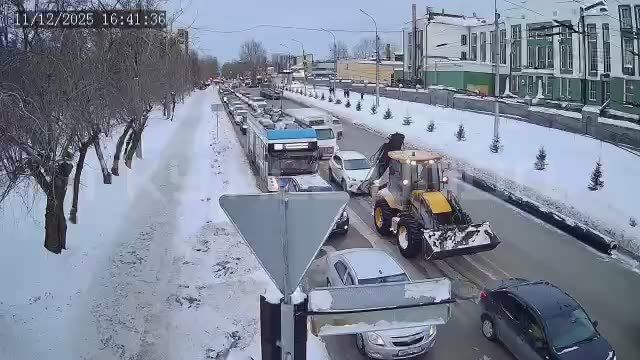 Новая фобия для впечатлительных: теперь боимся не только лесовозов!