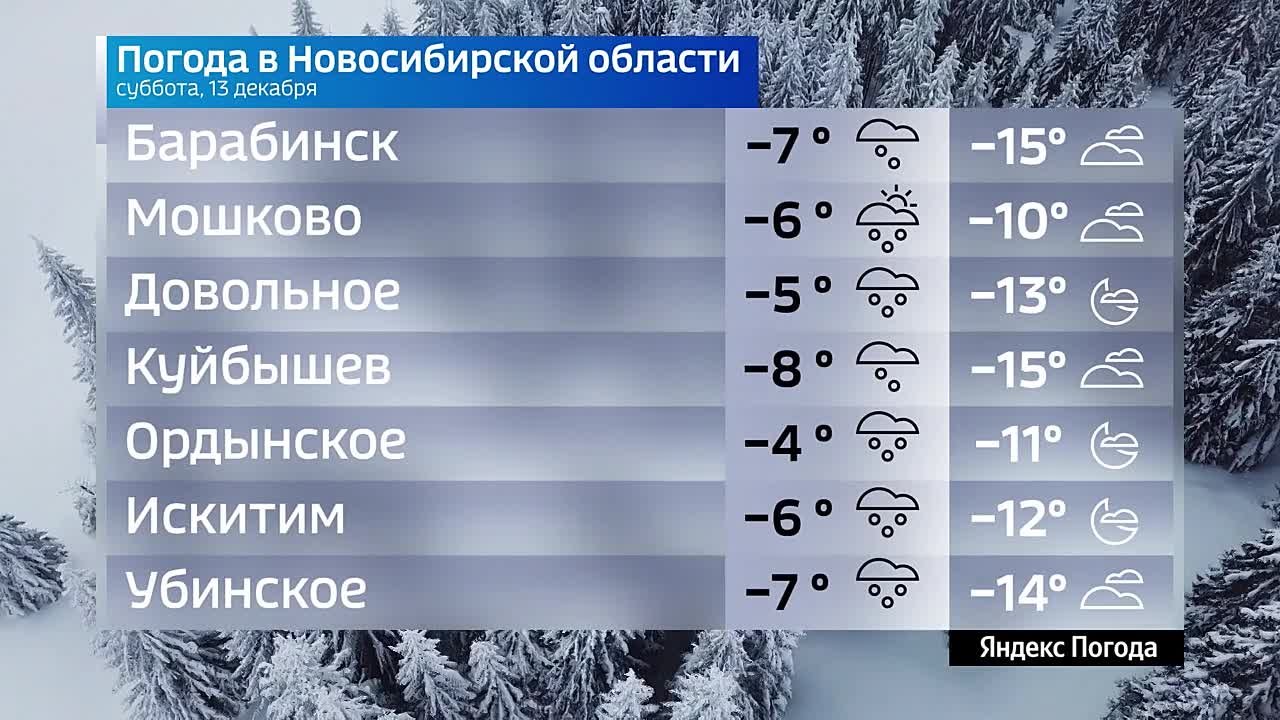 Вести Новосибирск
