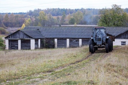 «Больших умственных возможностей не нужно, чтобы обязать»