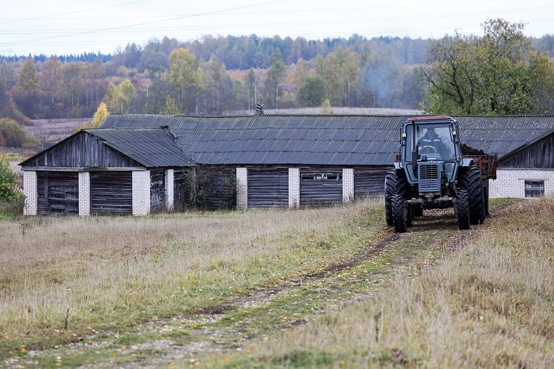 «Больших умственных возможностей не нужно, чтобы обязать»