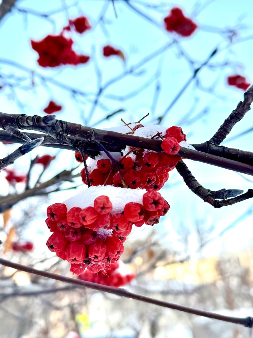 Зима сменила настроение. Готовьтесь! Зима сменила настроение. Готовьтесь!