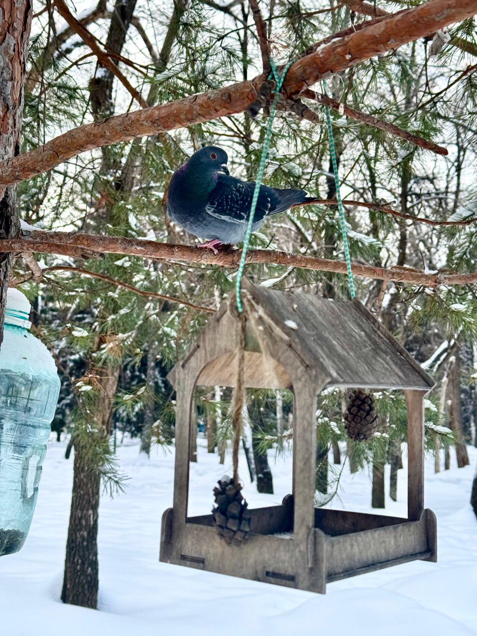 Зима сменила настроение. Готовьтесь! Зима сменила настроение. Готовьтесь!