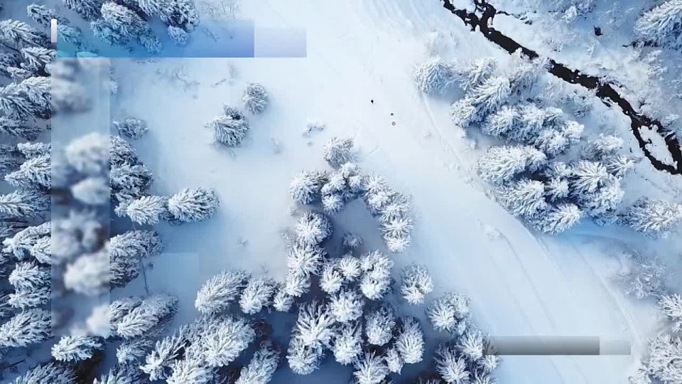 ����� �����������