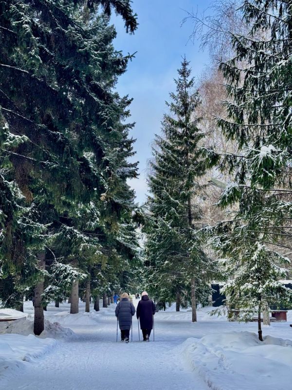 ���� ������� ����������. ����������!