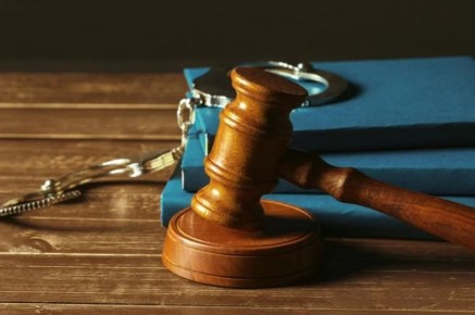 В Новосибирске вынесли приговор Алле Пугачевой за кражу телефона