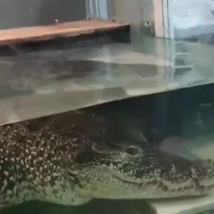 ���������� ��������� ����, ���������� 30 ��� �������������, ����� ������� ��������