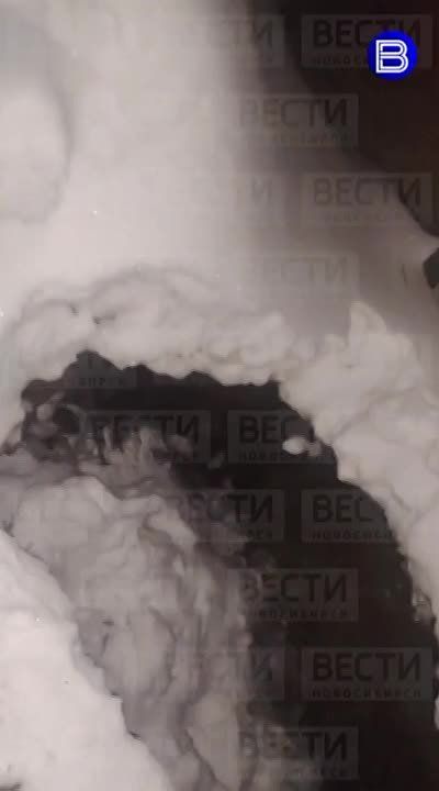 ������� ���������. ���� ���������� ��������, ��� ������ ������������ ��� � ������ ����� ������ � ������������ ������������ - ��� �������� ��������