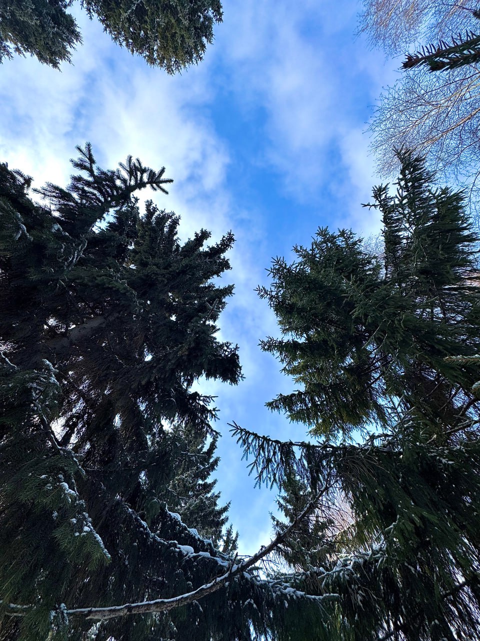 Зима сменила настроение. Готовьтесь! Зима сменила настроение. Готовьтесь!