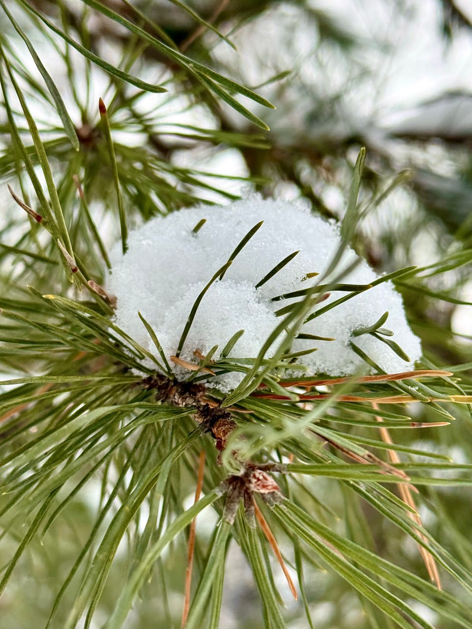 Зима сменила настроение. Готовьтесь! Зима сменила настроение. Готовьтесь!