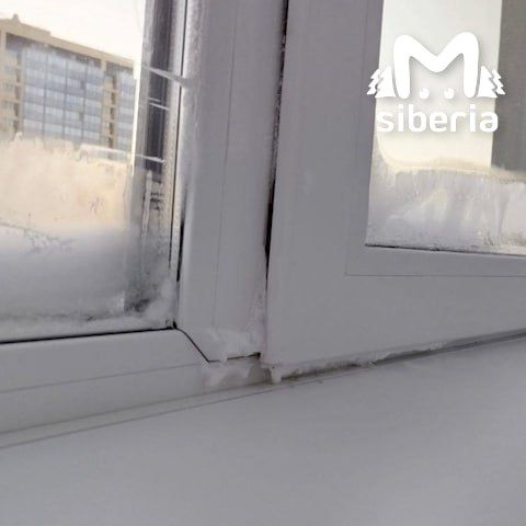 Чёрная плесень атакует промерзающие окна и стены в новосибирских "Родниках"