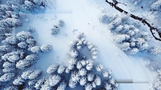 Вести Новосибирск