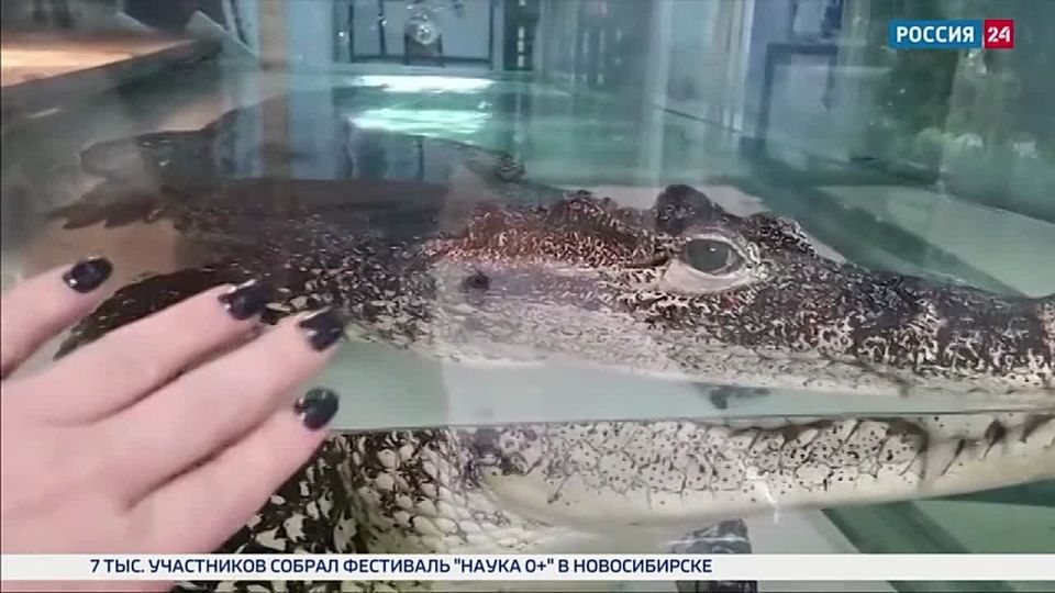 ������� �������. ���������� ������������� ��������, ������� 30 ��� ��� � �������� ����������, ��������, ������ ����� ��� �� ����