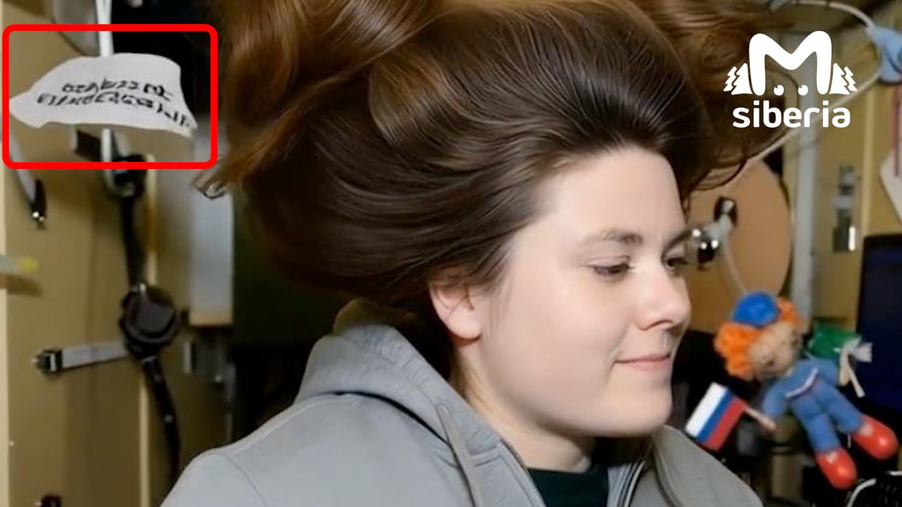 Бомбардиро Крокодило, Тралалело Тралала и мэрия Новосибирска Бомбардиро Крокодило, Тралалело Тралала и мэрия Новосибирска