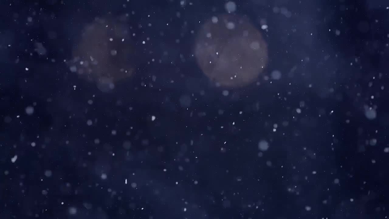 Бомбардиро Крокодило, Тралалело Тралала и мэрия Новосибирска