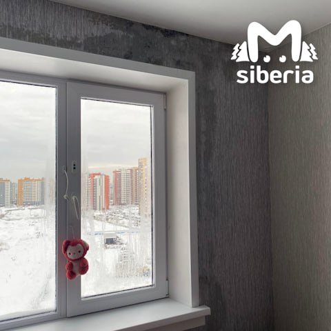 Чёрная плесень атакует промерзающие окна и стены в новосибирских "Родниках" Чёрная плесень атакует промерзающие окна и стены в новосибирских "Родниках"