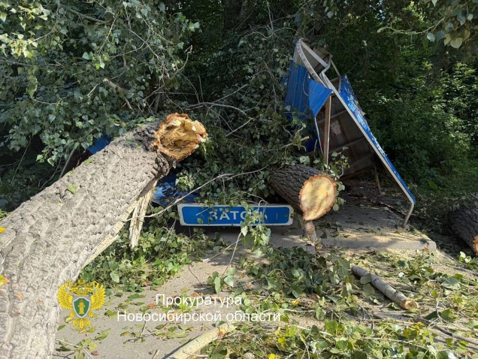 ����������� ������ ������� ��� �� ���� ��������� � ������������� � ������ �������, ������������ �� ������� ���������� ������