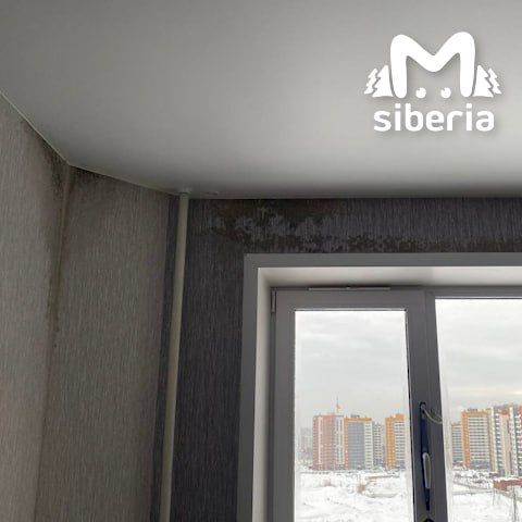 Чёрная плесень атакует промерзающие окна и стены в новосибирских "Родниках" Чёрная плесень атакует промерзающие окна и стены в новосибирских "Родниках"