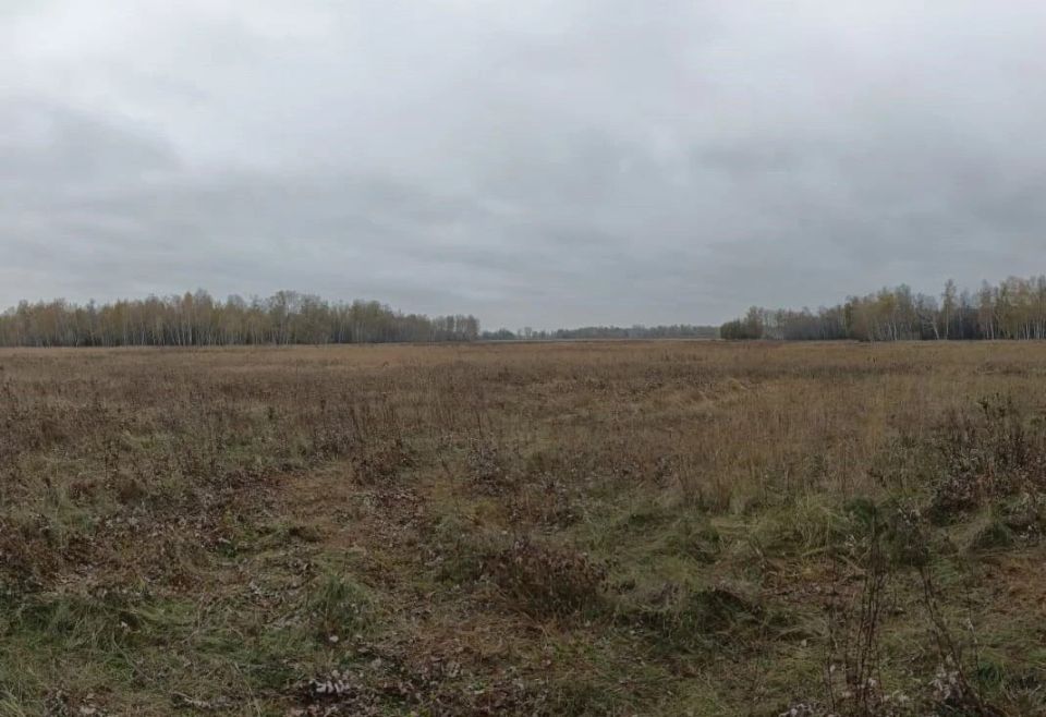 ���������� � ��� ��������� ���� �� ����� ���������� ������ �� �����