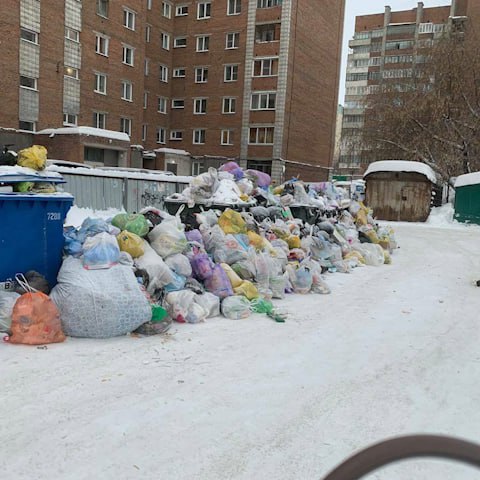 Прокуратура отчитала мэра Новосибирска за заваленный мусором город