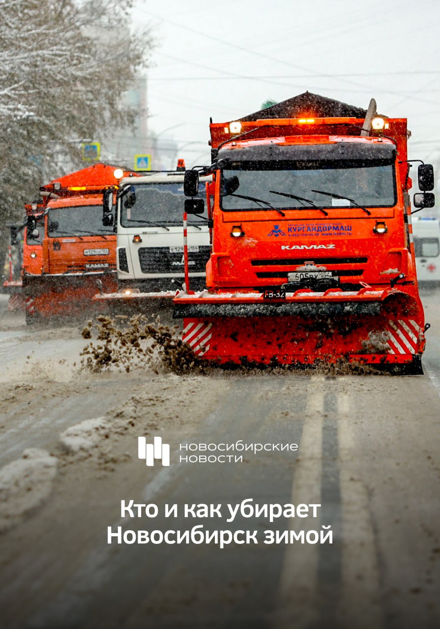 На этой неделе Новосибирск изрядно присыпало снегом