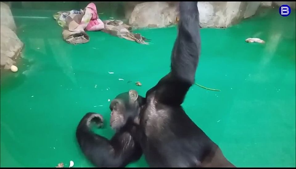 ��������� ������. ������� ������ ����: ���� �? ��� �? ����� ��� ��?� �������, �������� ���� �� �������������� �������� �������� �� ������ ����