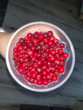 Брусничная эйфория в Сосновоборске: секреты выбора и рецепты для вдохновения