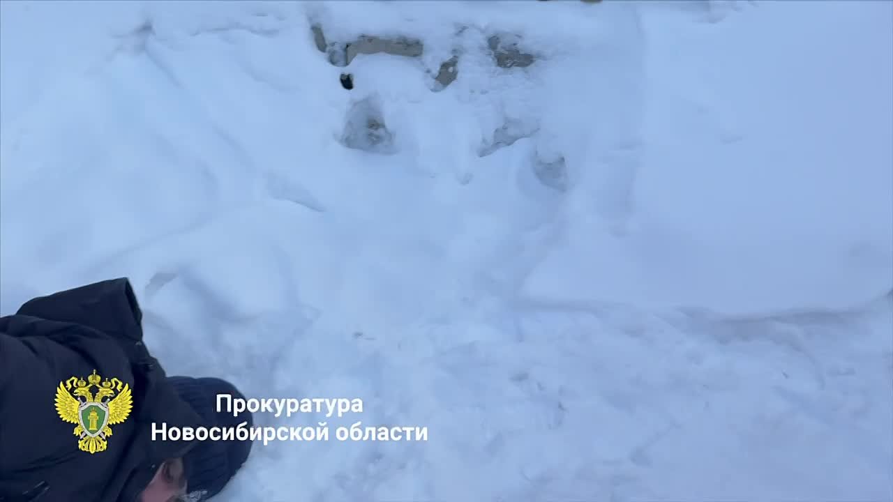 По материалам прокурорской проверки возбуждено уголовное дело о незаконном приобретении, хранении и перевозке свыше 18 тыс