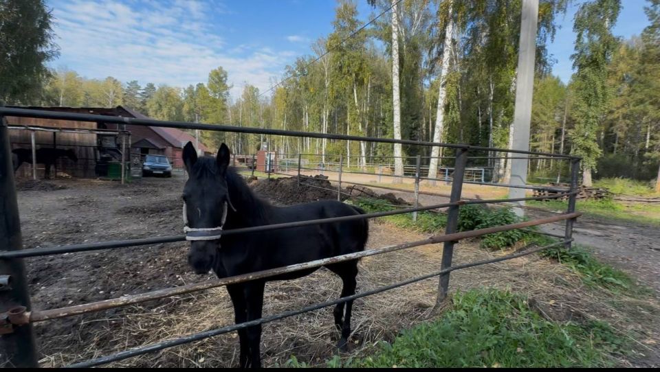 �� ���������� ������������ �������� ����������� ���������� ������� ���������� ������������� ����