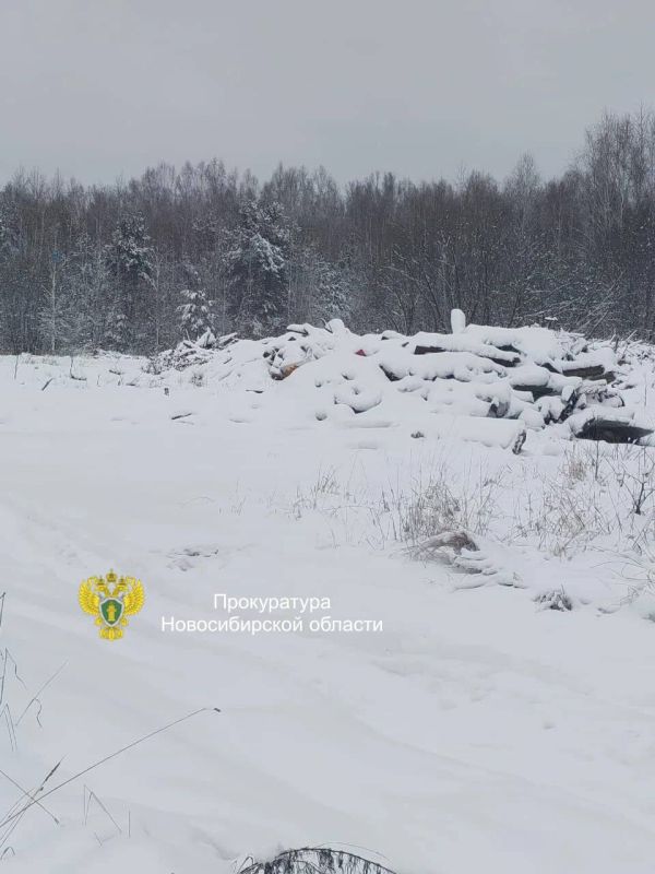 �� ���������� ����������� � ������������� ������� ������������� ������������������� ������