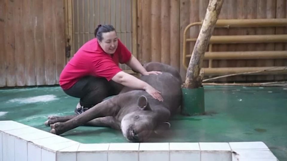 ������ ������� ����� ��������, ������� ����� ������� ��� ��� ��, ��� ������ � ������������� ��������