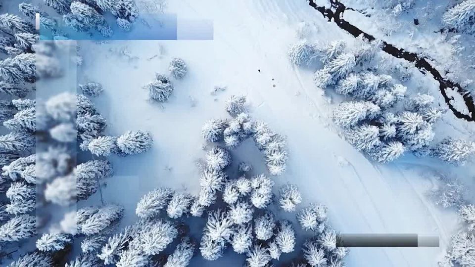 ����� �����������