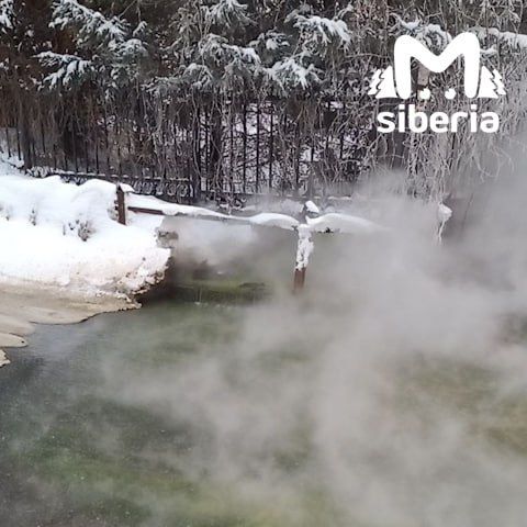 Зелёный кипяток затопил двор в Новосибирске