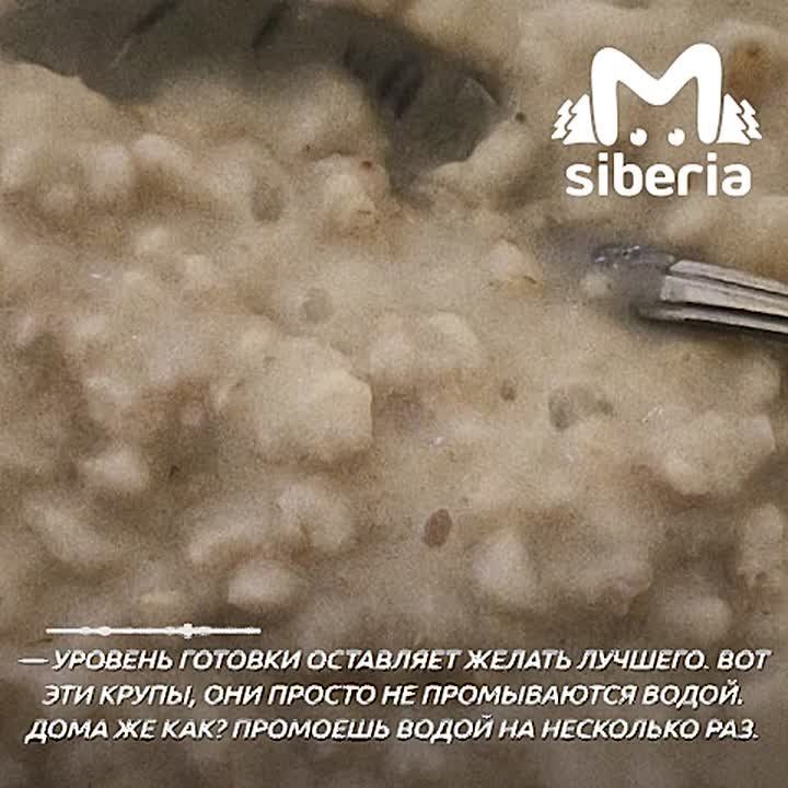 "������ ����� �� ������� ������ ����, ���"