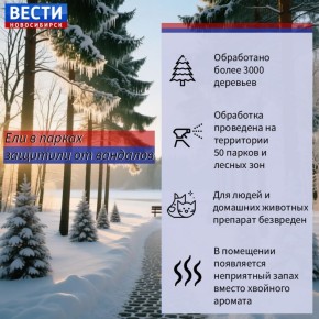 Новый год с запашком. В преддверии новогодней охоты горожан за праздничным настроением в Новосибирске специальным антивандальным раствором обработали почти три тысячи городских ёлок